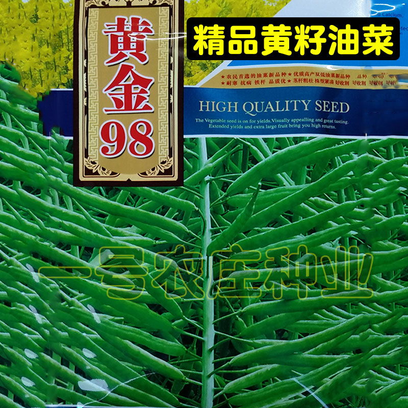 黄籽分枝耐寒抗冻高产型油菜