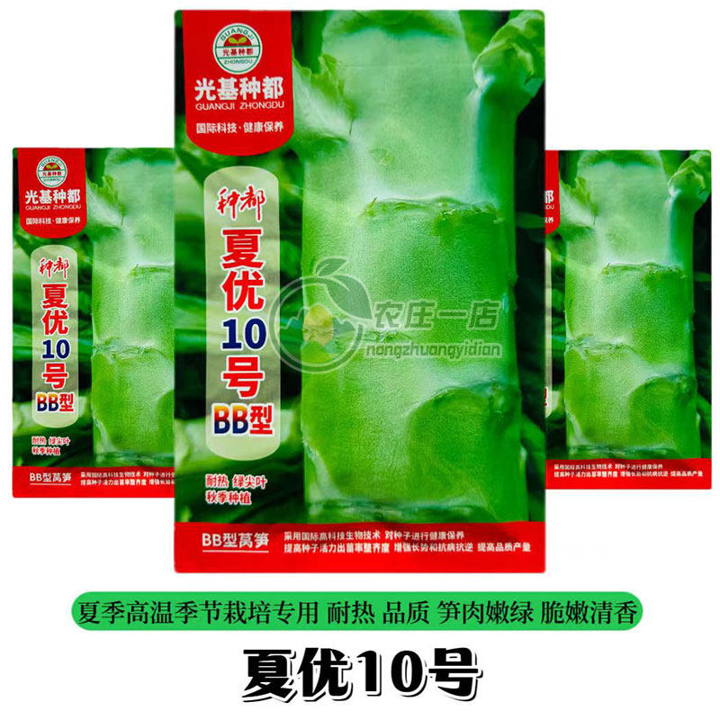 耐高温莴笋种子绿尖叶香莴苣种籽夏季专用特耐热脆嫩清香青皮青肉