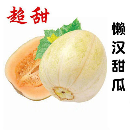 懒汉瓜王种子白色甜瓜薄皮香瓜籽