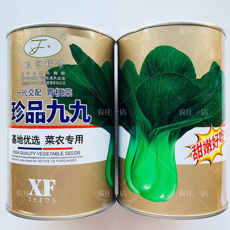 珍品九九青梗菜种子油菜种籽青菜籽种大全四季耐寒耐热纤维少种孑
