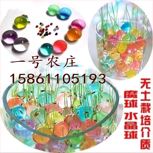 Crystal beads Crystal Mud SpongeBob SquarePants Bubble large beads Absorbent beads Hydroponic plants decorate Growth beadin the Flower delivery/Flowers simulation/Plants gardening , Gardening supplies , Crystal beads/Glass Beads  category - from Buy2taobao.com to provide professional Taobao agent buy service
