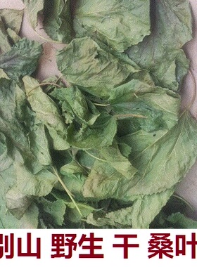 桑叶 初霜桑树叶茶霜桑叶新货中药材250克包邮