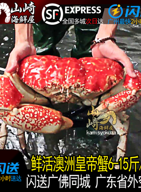闪送上海广佛鲜活特大皇帝蟹澳洲4斤-10斤巨型海鲜水产帝王蟹