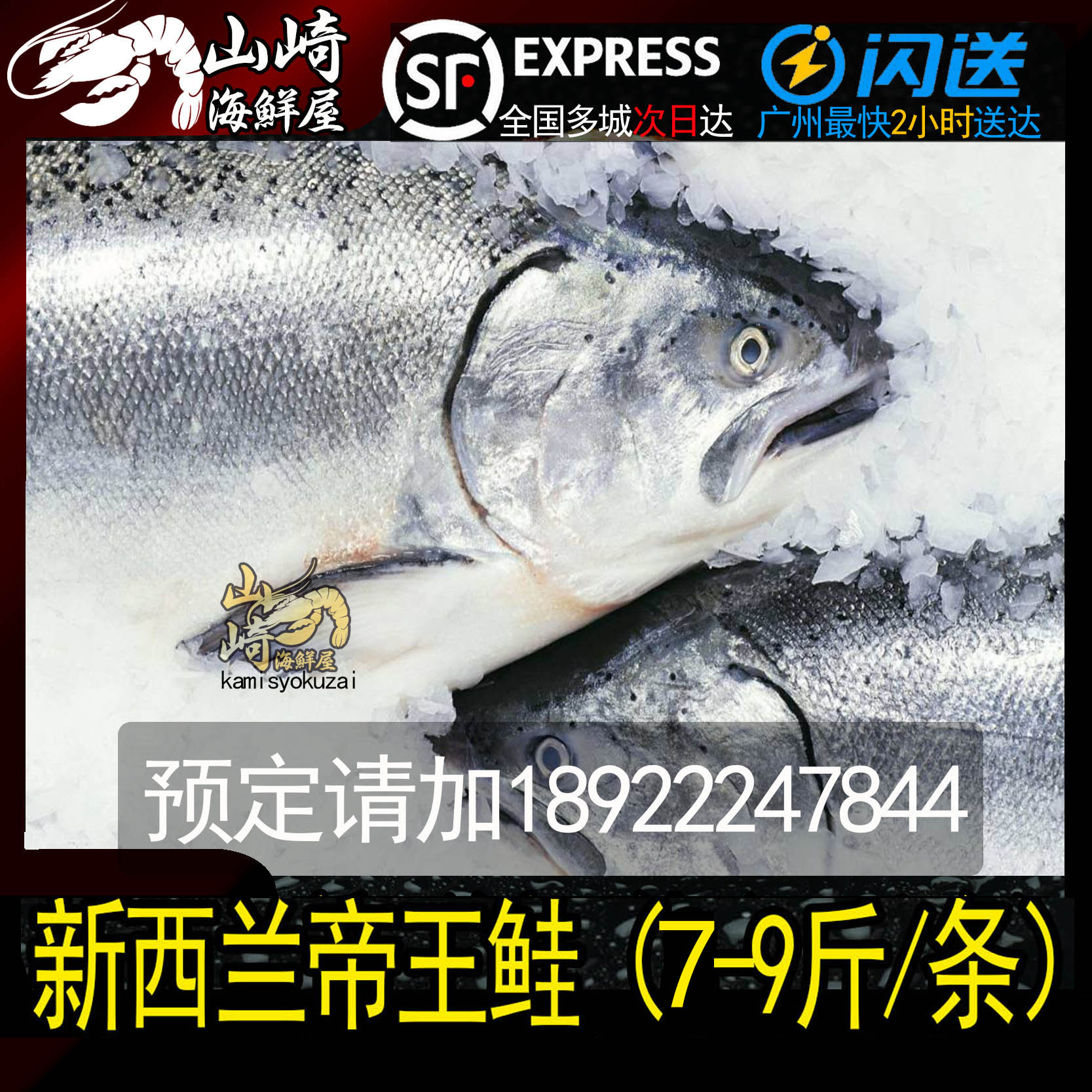新西兰进口帝王鲑鱼 整条6-10斤 冰鲜三文鱼一整条新鲜即食刺身图片