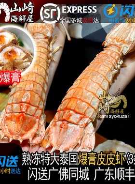 泰国活冻濑尿虾超特大虾姑皮皮虾巨型富贵虾海鲜水产全国顺丰