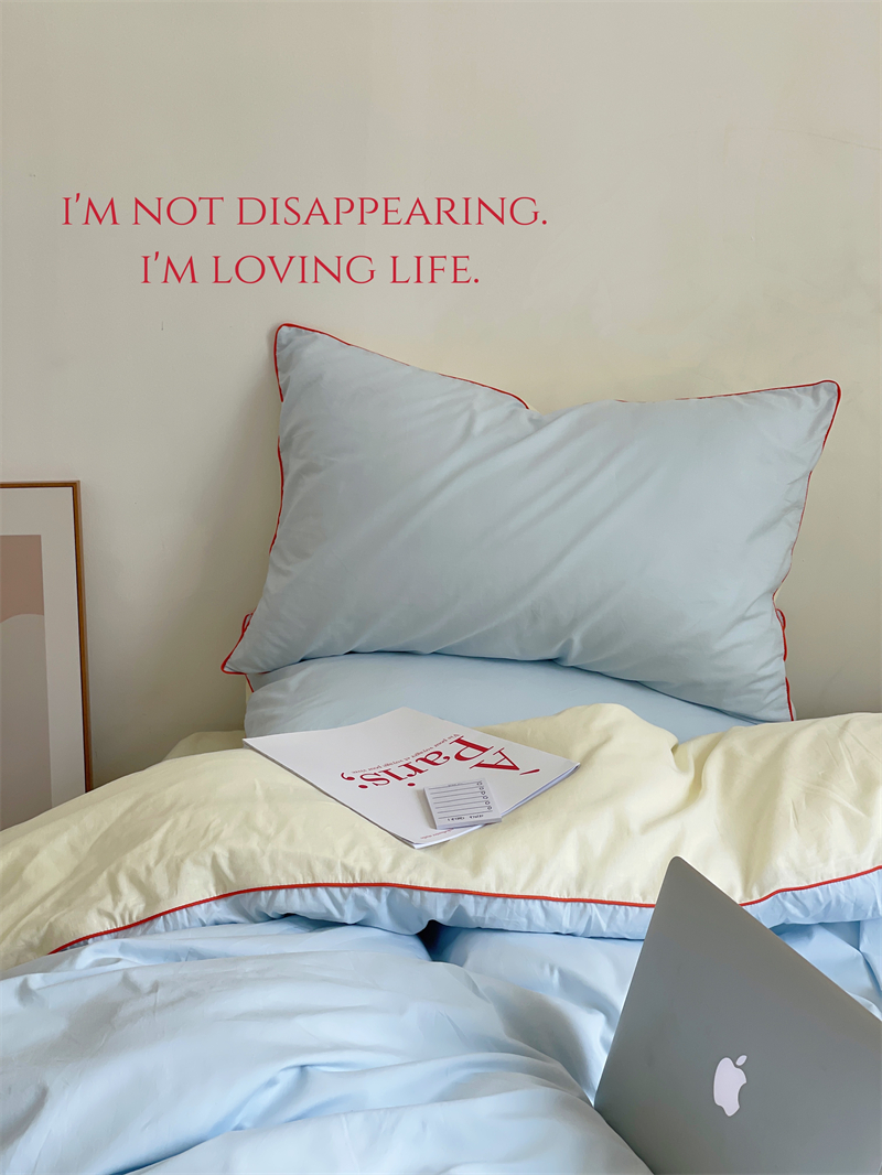 博主同款混搭纯棉水洗棉四件套