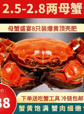 鲜活大闸蟹8只全母蟹大螃蟹母2.5