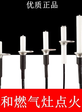 适配万和燃气灶点火针配件煤气灶灶具通用打火针探针电极原装