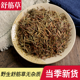 野生舒筋草500克包邮中药材舒筋草藤石松 吊白伸筋另售马尾伸筋