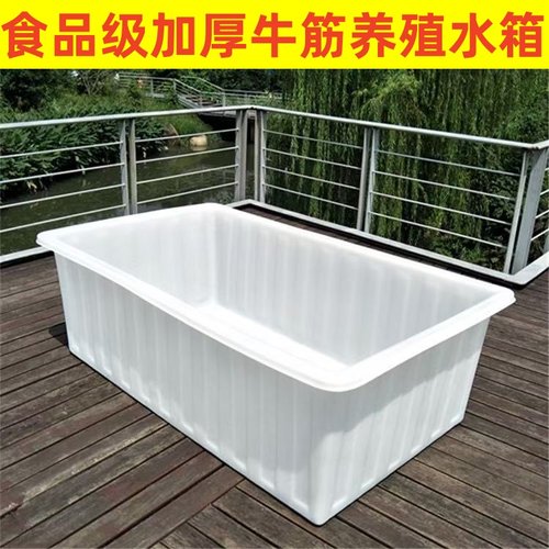 牛筋塑料水箱长方形水产卖鱼浅盆
