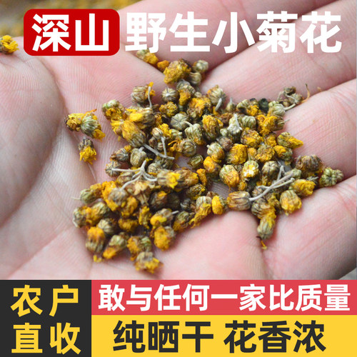 深山野菊花泡水小黄菊花干货