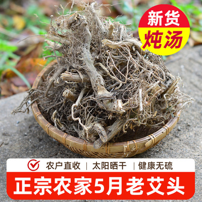 野生艾草根客家煲汤料小叶五月艾头新鲜太阳晒干无硫新货河源特产