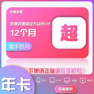 【支持电视端】哔哩哔哩超级大会员年卡bilibili电视大会员12个月