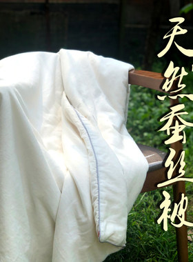 桐乡手工100%纯蚕丝被子母被春秋被空调夏凉被冬被儿童丝棉被芯