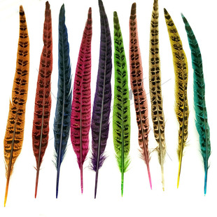 DIY饰品配件天然野山鸡毛野鸡羽毛野鸡翎京戏翎舞台演出道具25-35