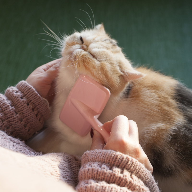 猫咪梳毛梳子长短毛通用按摩撸猫