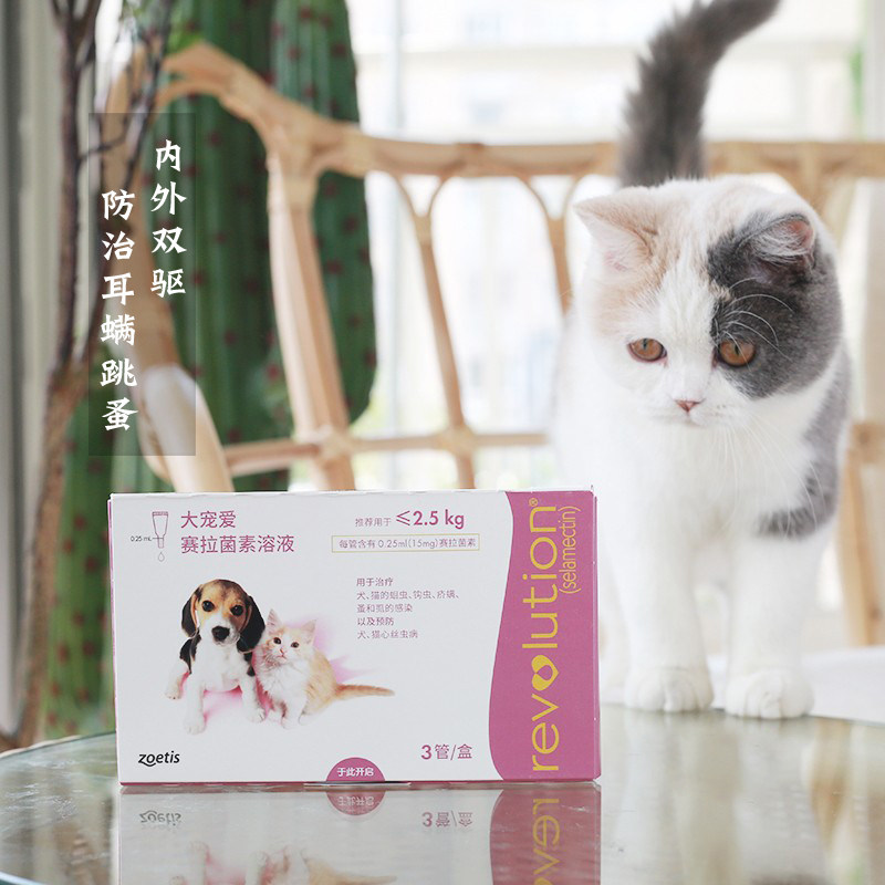 猫咪驱虫药体内外一体大宠爱15mg幼猫外用耳螨二合一绦虫蛔虫滴液