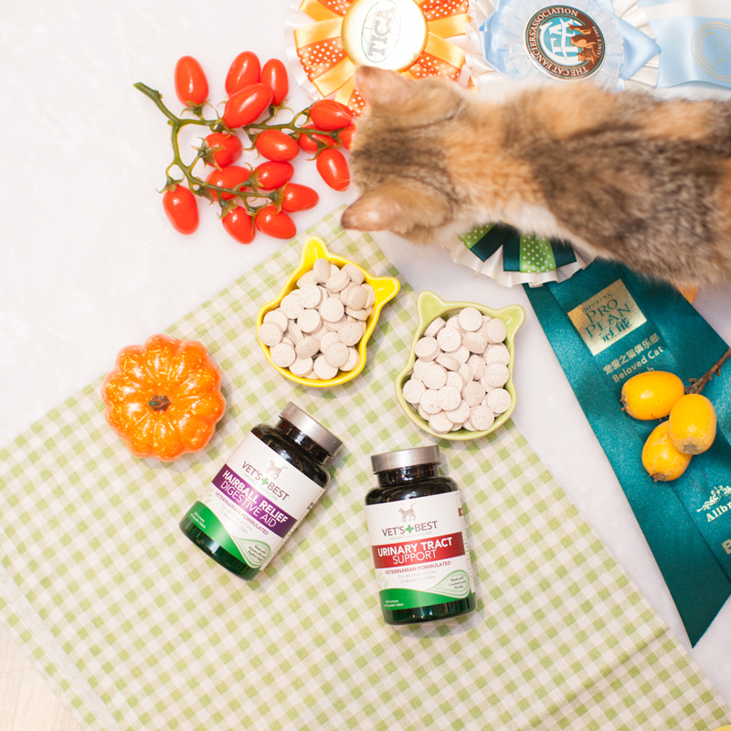 vets best绿十字去毛球化毛猫草片试吃/猫尿结石尿血利尿通泌尿片