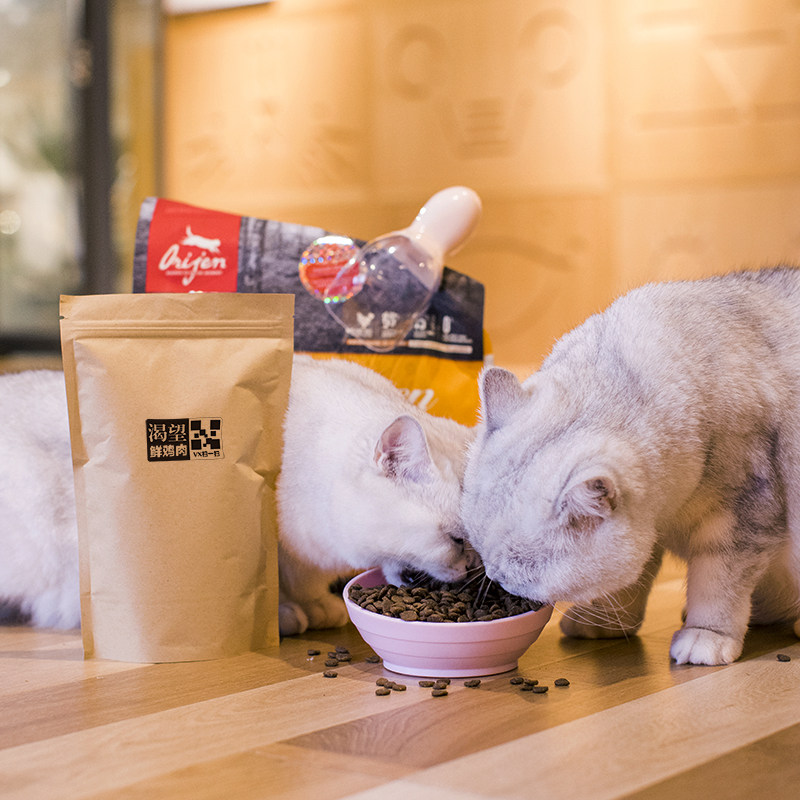 Orijen/原始猎食渴望猫粮试吃装