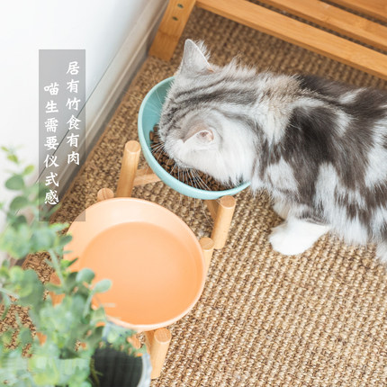 陶瓷猫碗斜口碗加高款实木碗架子猫食盆保护颈椎防打翻猫粮碗饭盘