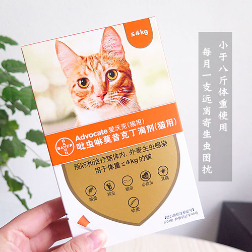 爱沃克体内+体外双效驱虫滴剂