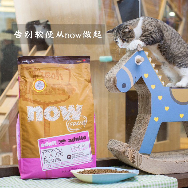 逗哒乐 加拿大now猫粮天然无谷鲜肉增强免疫抗软便成幼猫粮8/16磅