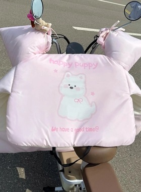 电动车冬季挡风被加绒加厚春秋电瓶摩托车防风罩防水防风保暖新款