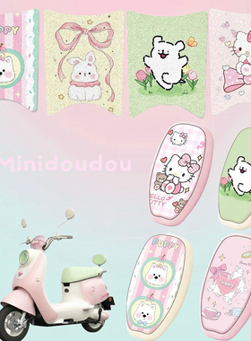 适用爱玛熊粒粒电动车丝圈脚垫电车防水防滑脚踩垫防晒坐垫套组合