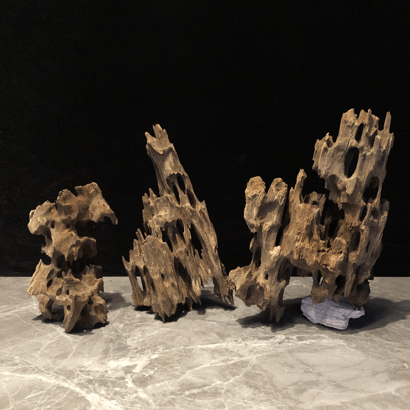 精品虾木蜂窝木免煮天然沉木鱼缸装饰小号多孔躲避水草缸造景黑色