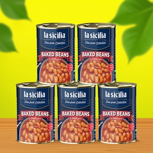 辣西西茄汁焗豆罐头420g 番茄汁焗豆罐头黄豆意大利进口