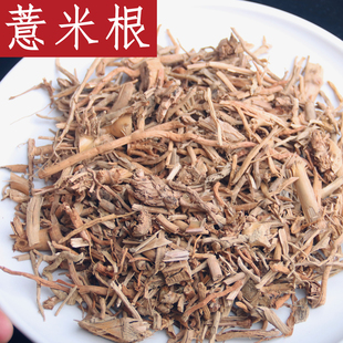中药材 薏仁米根/薏苡仁根/薏米仁根 薏仁根 50-500克 草珠子根