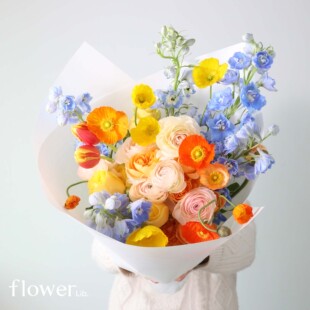 植物图书馆杭州同城花束送女友表白纪念生日礼物 春日花礼合集