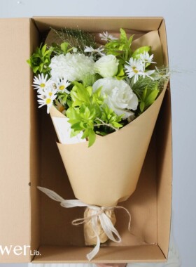 [柠檬洋桔梗]植物图书馆全国快递自然风生日桔梗花束礼物送女友