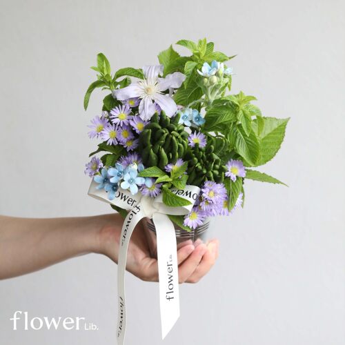 [父亲节花礼合集]植物图书馆杭州同城花束送长辈鲜花节日纪念礼物