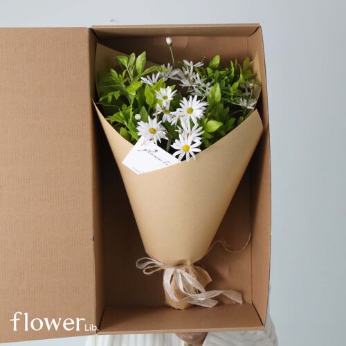 [flowerbook]植物图书馆全国快递表白生日花束礼物送女友闺蜜