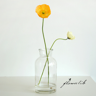 植物图书馆全国鲜花束速递简约北欧风ins插花节日礼物 花瓶