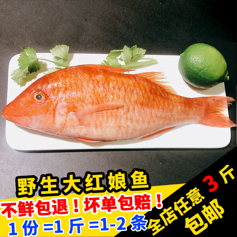 闽丰渔红娘鱼新鲜500克福建海鲜水产鲜活冷冻大红鱼宝宝辅食