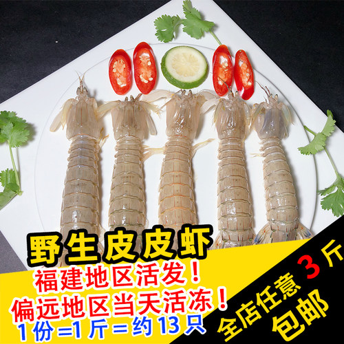 闽丰渔鲜活皮皮虾500g母虾姑螳螂虾琵琶虾虎虾婆爬子虾耙子瀨尿虾