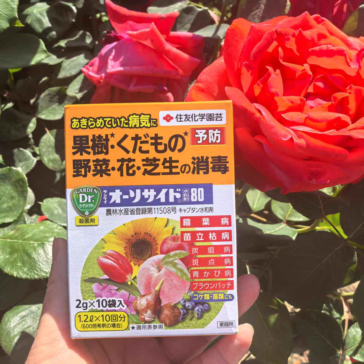 日本住友克菌丹白粉黑斑霜霉褐斑炭疽煤烟灰霉菌剂花水果蔬菜草坪