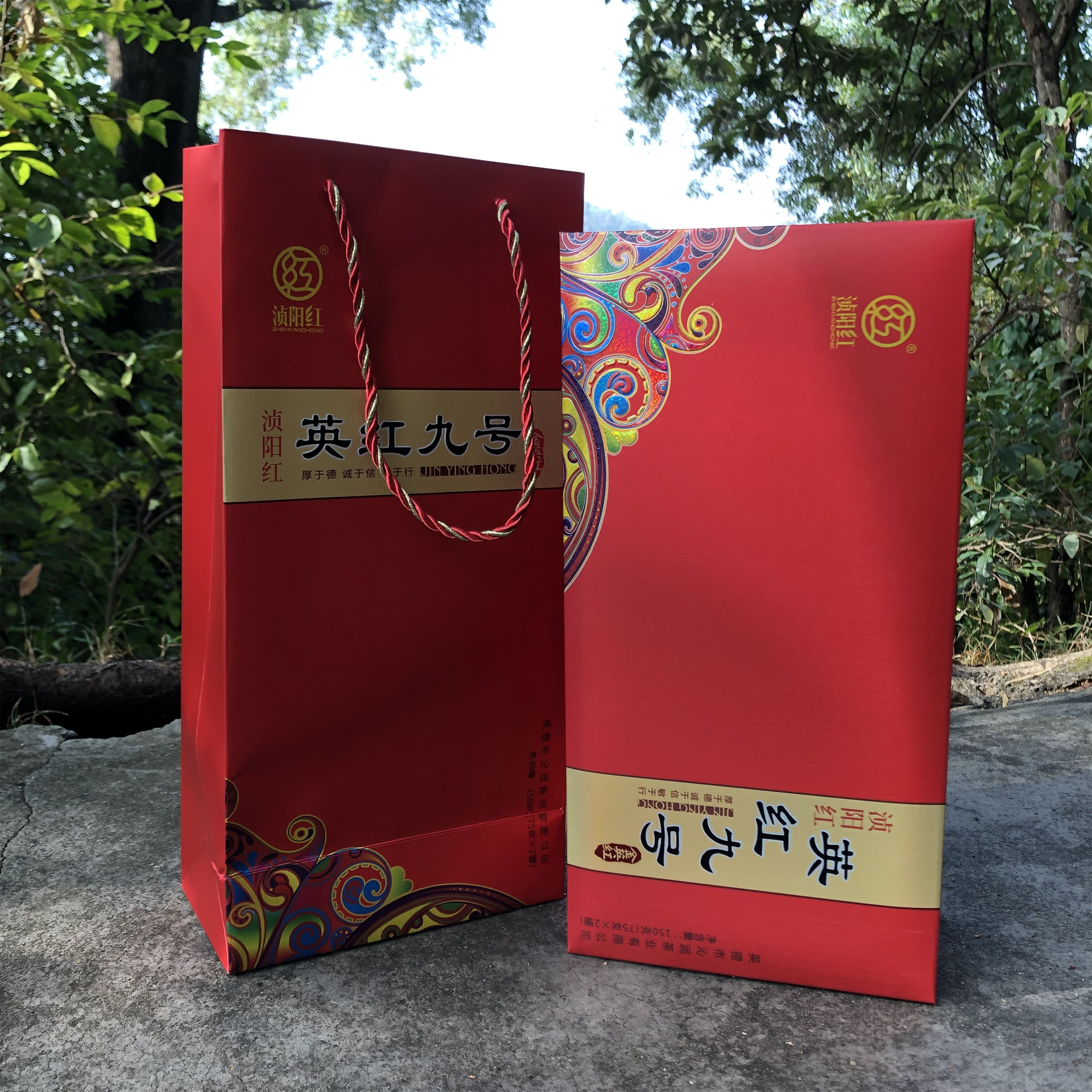 浈阳红英红九号金英红特级英德红茶高档茶叶礼盒沁润茶业过年送礼