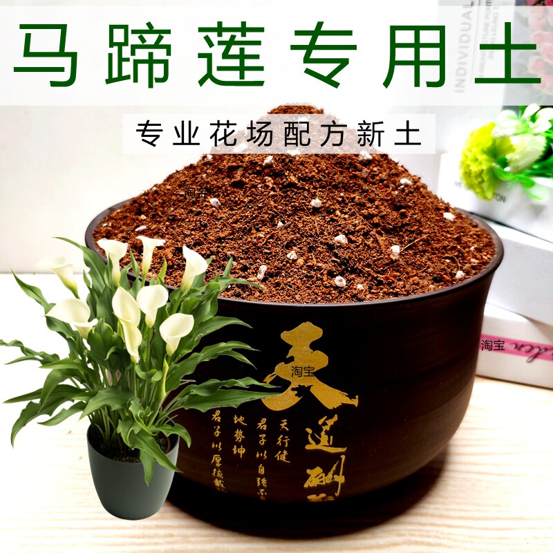 马蹄莲专用土盆栽花卉通用型有机土球根营养土进口种球培植土特配