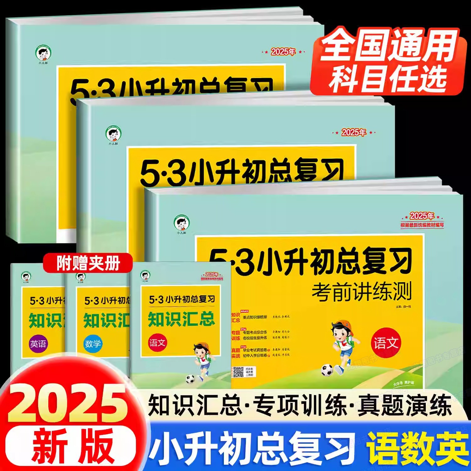 53小升初总复习考前讲练测人教版