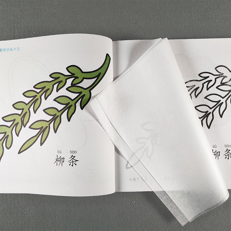 儿童画画书蒙纸描画本 宝宝植物花朵画画涂色画本 2-3岁图画册 小孩学画4岁5岁6岁儿童绘画临摹 植物绿植花草涂鸦填色本动物3-6岁|ruв категории книги/журнал/газета, книги для детей/ассистент, живопись/комикс/Комиксы/мультфильм история - от Buy2taobao.com для оказания профессиональной услуги покупки агента Taobao