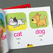 带插图单词英文单词启蒙 6岁少儿英语口语教材 儿童英语绘本基本英语启蒙早教幼儿英语幼升小入学准备 幼儿英语单词图画书2