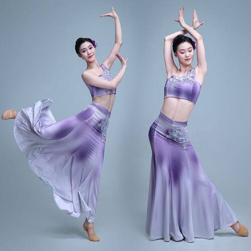 傣族舞蹈演出服女艺考鱼
