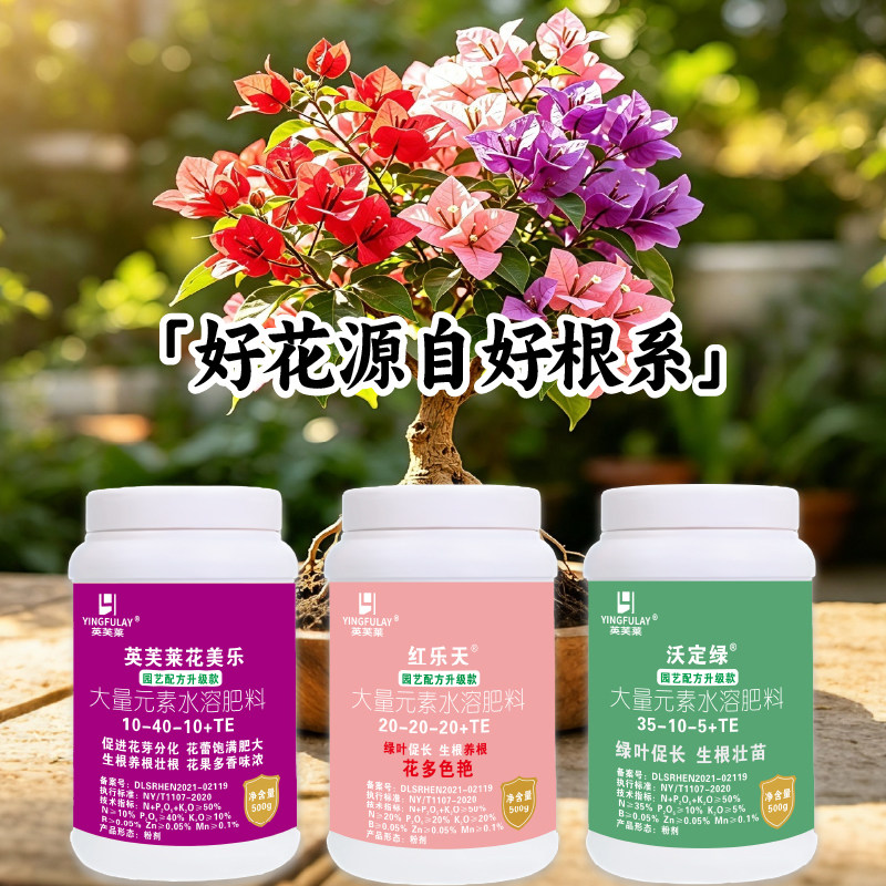 大量元素水溶肥园艺观叶花