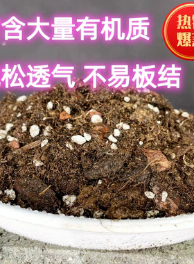 种啥啥活土配方型泥炭土通用型营养土园艺营养土种花种菜土酸性土