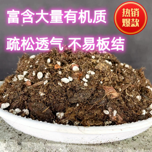 炭土通用型营养土园艺营养土酸性