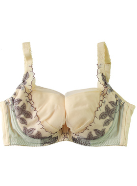 戴芝蒂薄款全罩杯文胸大码调整型收副乳大胸显小聚拢内衣G95907