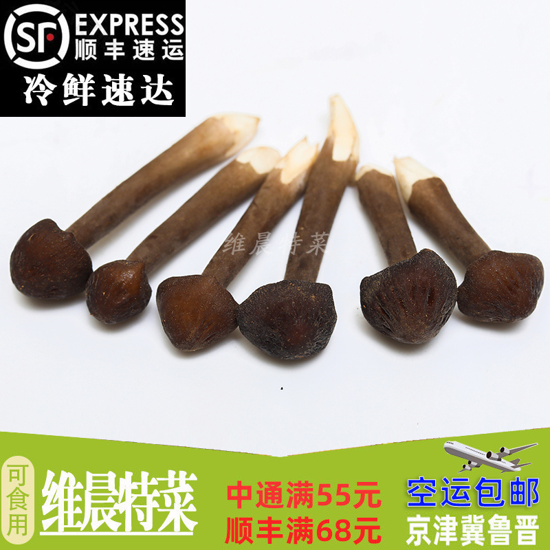新鲜鸡枞菌蘑菇 新鲜菌菇 食用菌 黑皮鸡枞菇鸡油菌250g
